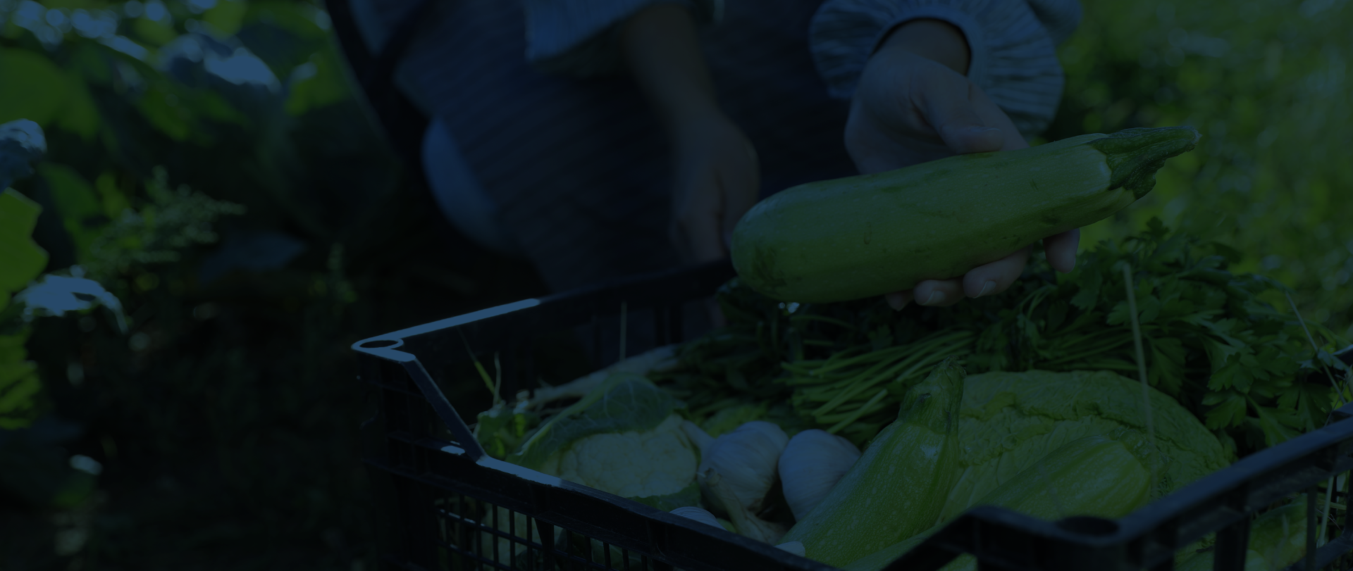 We combine market knowledge with a network present in more than 70 countries.